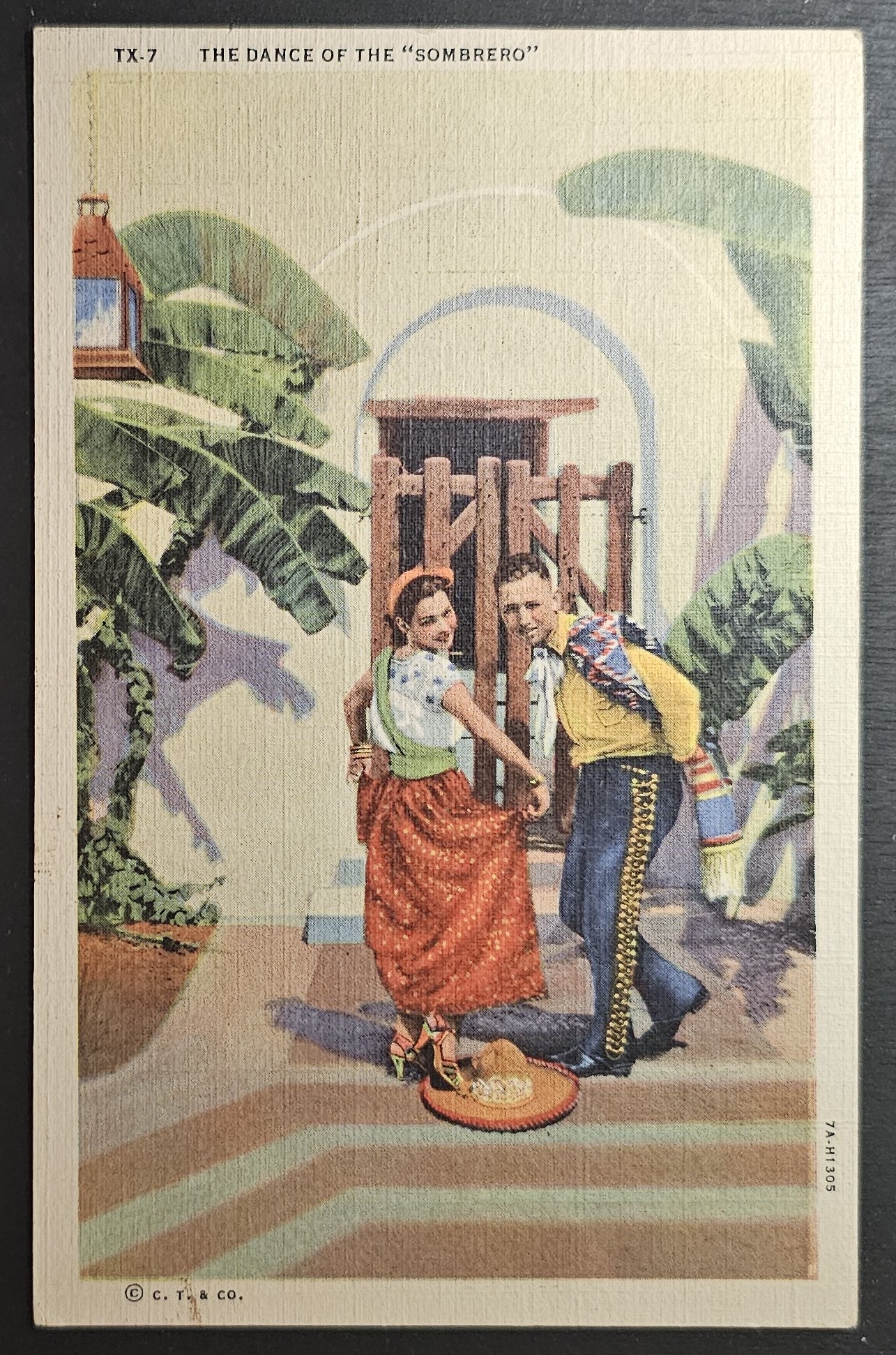 (image for) postcard USA - TX - Texas #0014